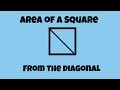 Understanding the Area of a Square