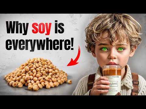 Why Everything You Eat Contains Soy