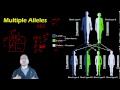 Blood Types and Epistasis Concepts