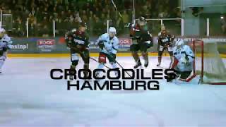 TEASER Crocodiles Hamburg vs Füchse Duisburg am 15.02.2019