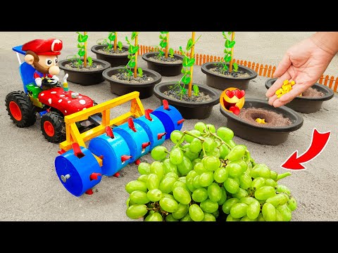 Top diy tractor making Growing Plants in mini Pots | diy Planting & Harvesting Grape Farm