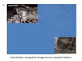Understanding the Transcript