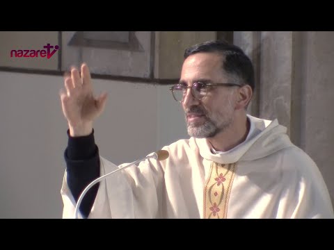 Santa Misa de hoy viernes 1 de noviembre de 2024. P. Gonzalo Guzmán, pbro.