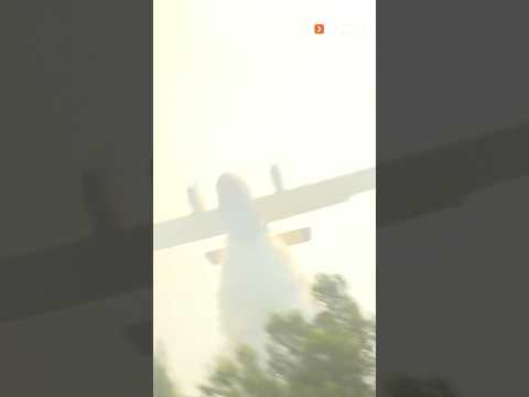#incendio #plane #bomberos #wildfire #firefighter #canadair #aviation