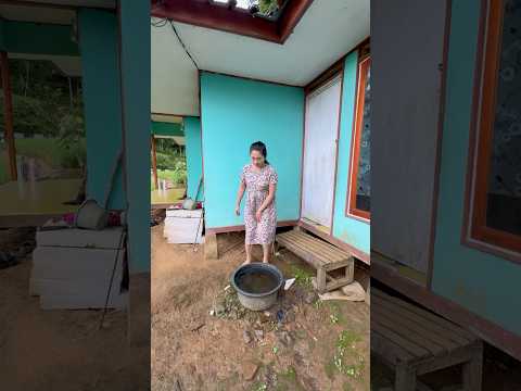 Wawasuh hela baraya #gadisdesa #shortsvideo #rismanirmalasari