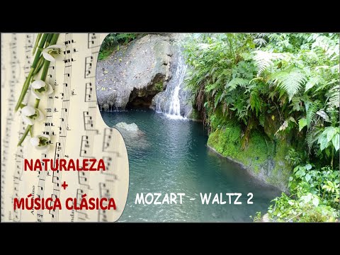 Mozart Piano: Rondo K 485, Waltz II | 🎶 Música Clásica SIN ANUNCIOS 🎶 NO Copyright