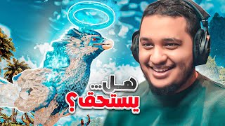 ارك فالكونز طائر العنقاء الأسطوري 16!!!