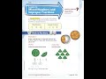 Improper Fractions and Mixed Numbers
