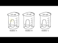Exploring Diffusion and Osmosis Concepts