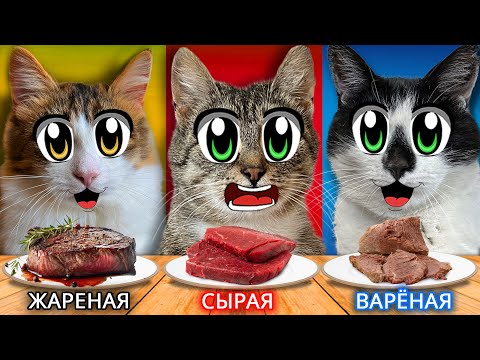 Челлендж: Сырая vs Вареная vs Жареная Еда — Что ВЫБЕРЕТ КОТ?