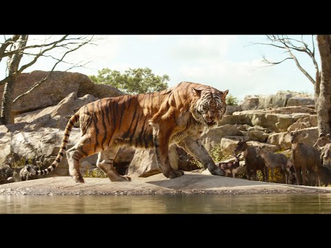 Intro to Shere Khan