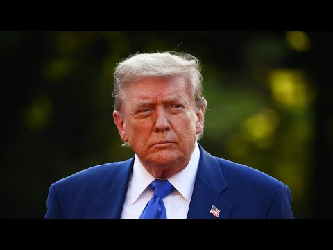 ‘Genuine world leader’: TV host praises Donald Trump’s ability to lead