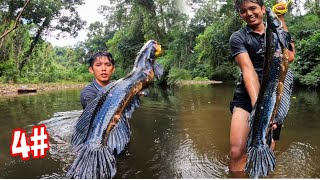 RỪNG CAM Ngày TRỞ LẠI  | Chạm Mặt Loài Cá Săn Mồi Hung Tợn Lóc Mắt Bò Mekong Sau 100H Săn Rừng.....