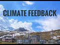 Cloud Radiation Feedback and Effects