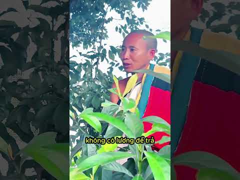 Con không có lương trả cho anh Báu - Sư Minh Tuệ thật thà chia sẻ