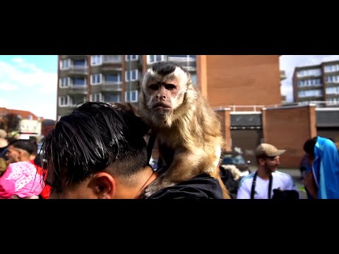 La Famax - La vie des ra // LA FAMAX RECORDS
