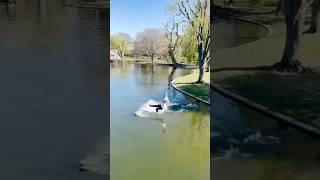 Learning how to cross a canal