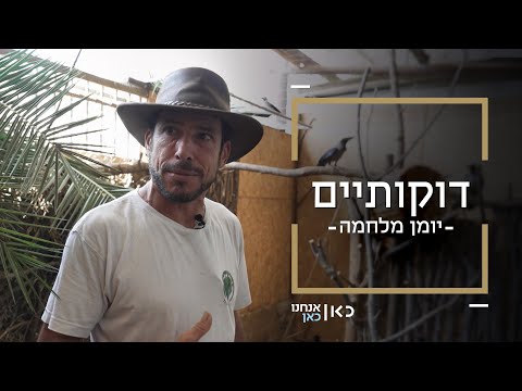 דוקותיים | אביהוא שרווד מציל את הציפורים שנפגעו מהטילים האיראנים
