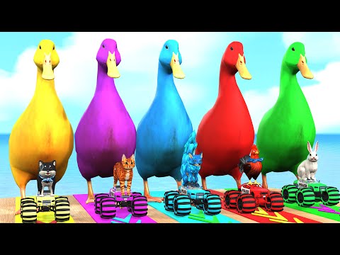 5 Giant Duck Cartoon,Cow,Elephant,Tiger,Lion,Dinosaur,Paint Wild Animals Crossing Fountain Animation