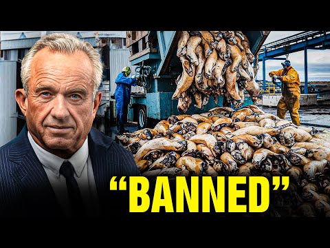 Robert F. Kennedy Jr Just SHUTDOWN These 15 Foods From American Markets