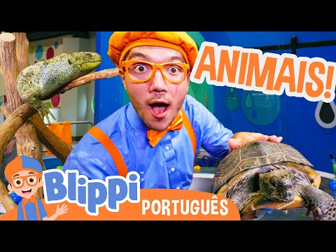 Blippi Brinca com Animais Aquáticos! | Blippi em Português | Vídeos Educativos para Crianças