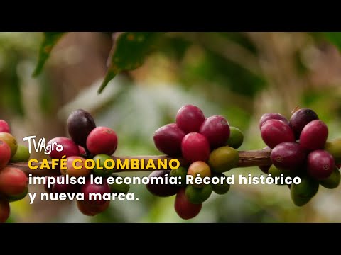 YouTube video thumbnail: Colombian Coffee Boosts the Economy: Historic Record and new Brand