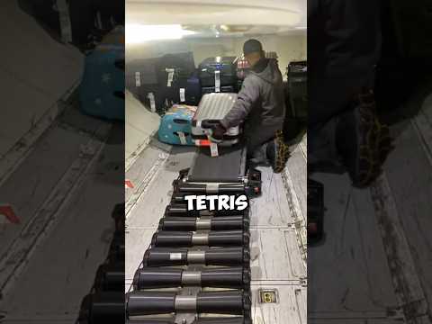 How violent are airports to your suitcases?#science #factbuildo #sciencefacts