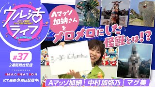 #37『ウル活ライフ Aマッソ加納がウルトラ沼にはまるまで』Aマッソ加納が『ウルトラマン』を熱弁！！（後編）