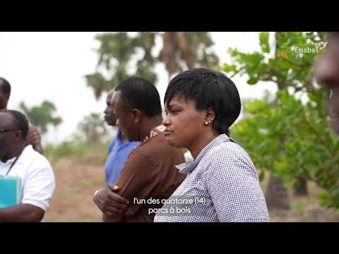 Découvrez une expérience innovante de cluster anacarde au Bénin