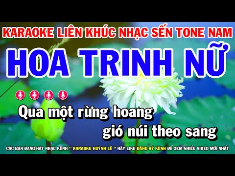 Karaoke Liên Khúc Trữ Tình Nửa Bài Beat Cực Chuẩn Tone Nam | Hoa Trinh Nữ – Từ Lúc Em Đi