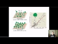 Biodiversity and Ecosystem Stability