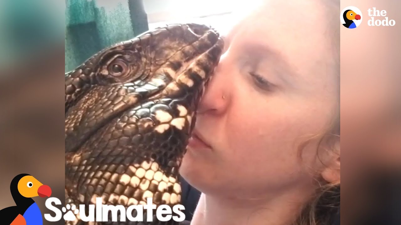 Giant Lizard And Mom Have The Sweetest Bond Soulmates