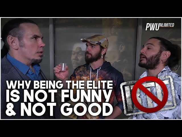 Why Being The Elite Is Not Good & Not Funny, Have They Gone Too Far?