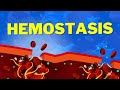 Understanding Hemostasis