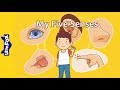 Understanding the Five Senses