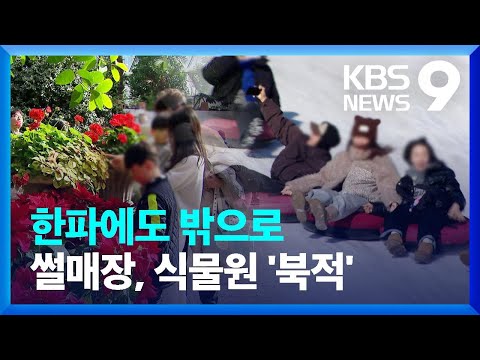 썰매장으로, 식물원으로…한파에도 다양한 나들이 [9시 뉴스] / KBS  2025.02.09.