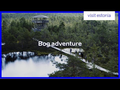 Experience Estonia – Bog adventure