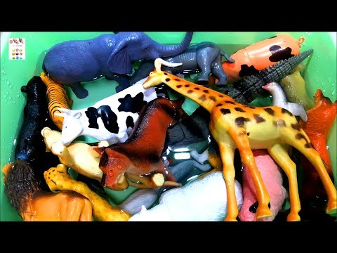 Learn Farm Animals Wild Zoo Animals Names In English Korean. 농장동물 동물원동물 야생동물 물놀이이름 배우기 영어.