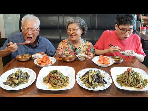 삼시세끼 그리운 시골집밥~! 얼큰한 육개장 레시피 먹방 (가지나물, 고구마 줄기 볶음 황금 레시피, 요리 레시피) korean recipes / asmr mukbang