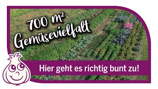 Gemüseacker Rundgang im Juli | ganz schön bunt