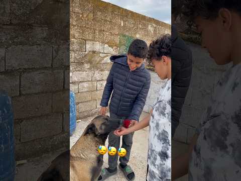 لوكة بدلتني بي وردة 😓😓 #اكسبلور #viralvideo #shortvideo #love #youtubeshorts #funny #trending