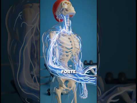 E se você tomasse CREATINA TODOS os dias??