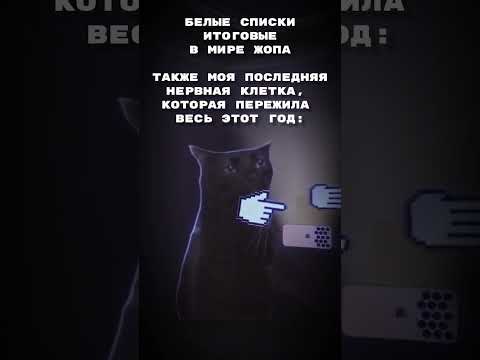 пов: последние недели перед нг 🫠 #cats #memes #shorts