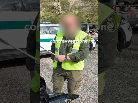 Multati dalla Forestale di Torino😰