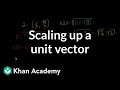 Understanding Unit Vectors and Scaling