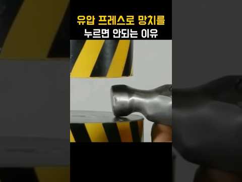 절대 하지 말 것