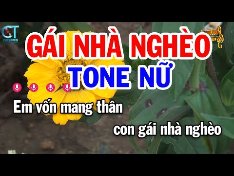 Karaoke Gái Nhà Nghèo Tone Nữ ( Cm ) Nhạc Sống Beat Mới | Karaoke Tuấn Kiệt