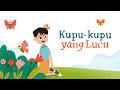 Butterfly Lifecycle and Transformation