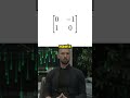 Matrix Transformations and Vector Operations