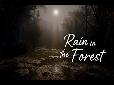 Rain Sounds in a Quiet Forest at Night — Peaceful Ambience for Deep Sleep, Relaxation & Focus (8H)